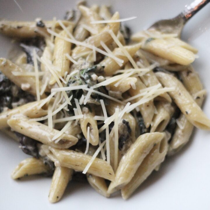 Creamy mushroom pasta in white bowl with cheese on top