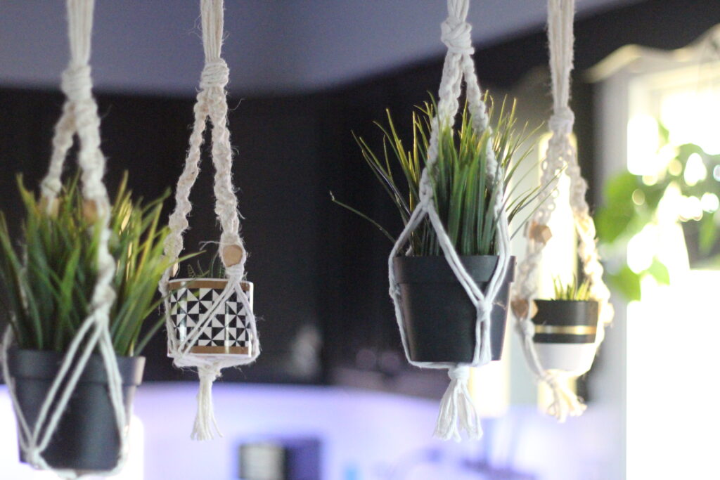 4 mini macrame plant holders with plants hanging 