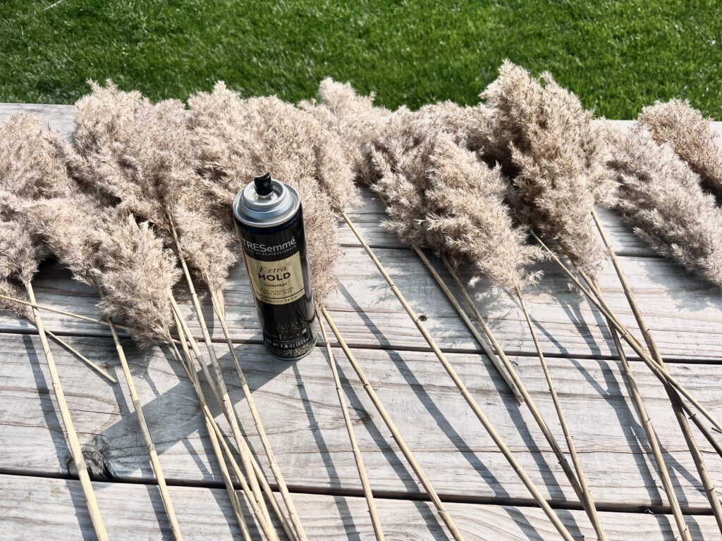Pampas’s grass on wooden table with a bottle of hairspray